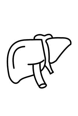 Metabolic & Liver Balance