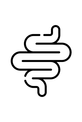 Digestive System Balance